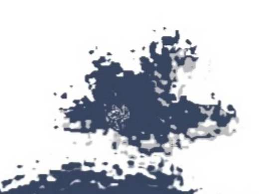 向往自由的海星（个人主页-ZNTI5NDc4MDA=） - 新锐潮流插画 - 站酷设计师heioky原创素材 - 站酷ZCOOL