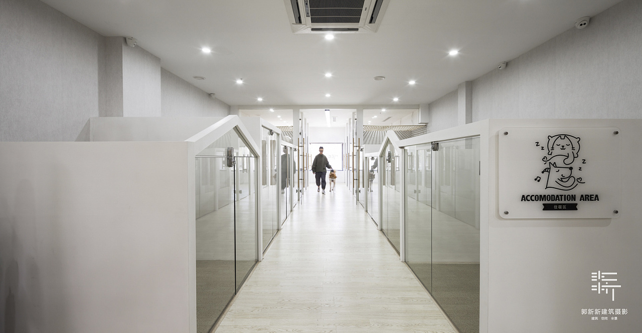 杭州它宅 pet hotel and spa 宠物酒店|摄影|环境/建筑摄影|郭新新