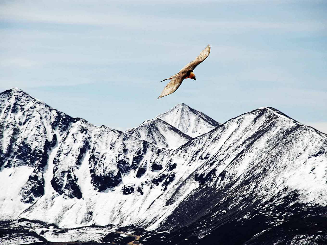 _Evaporation的个人主页（背景预览） - 主页背景设置 - 站酷设计师_Evaporation原创素材 - 站酷ZCOOL