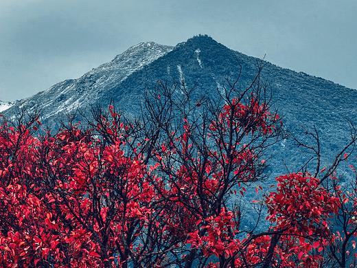 苍山雪