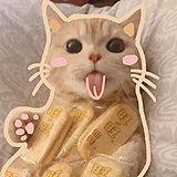 Coisini_张的头像