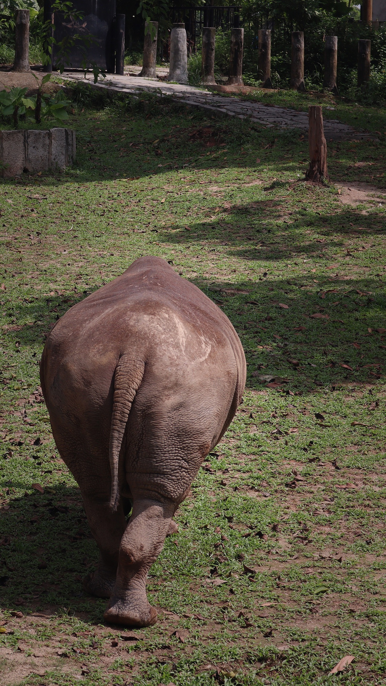 动物园里的他们