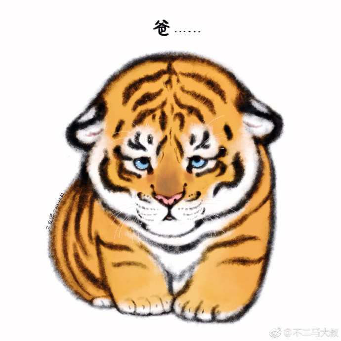 一斤小橘的个人主页（封面预览） - 主页封面设置 - 站酷设计师一斤小橘原创素材 - 站酷ZCOOL