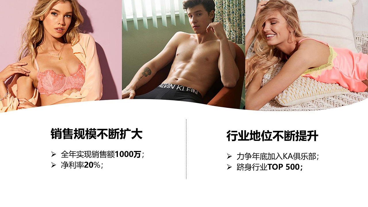 内衣品牌项目方案