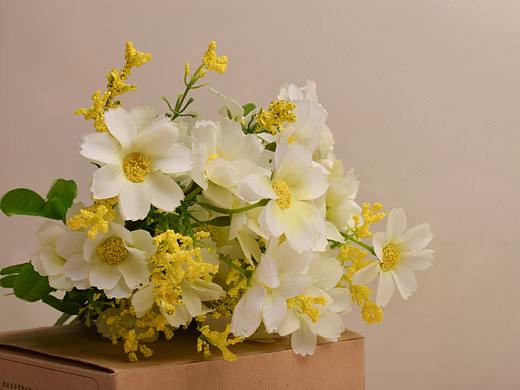 静物（个人主页-ZNDQ3NzczNzY=） - 产品摄影 - 站酷设计师苗DADA原创素材 - 站酷ZCOOL