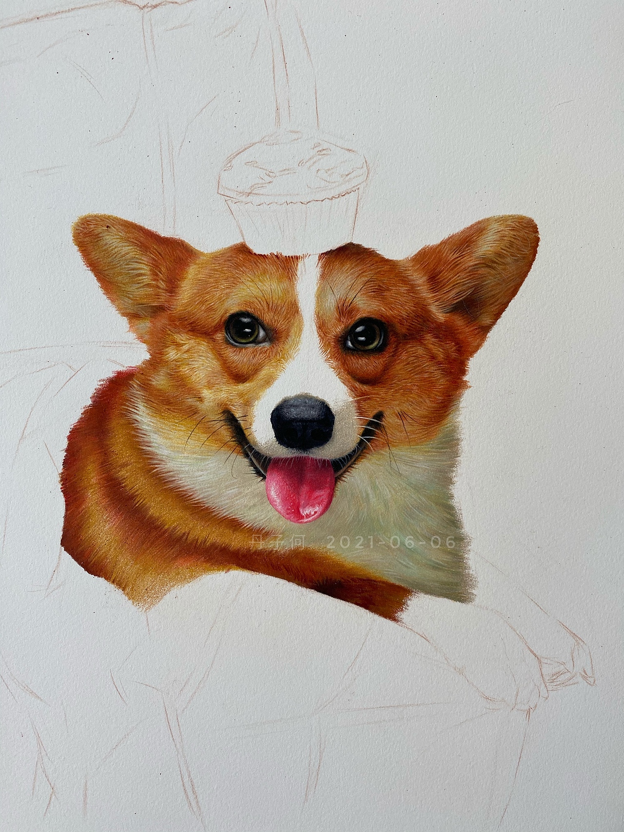 彩铅动物-《柯基》