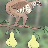 邵小静的头像