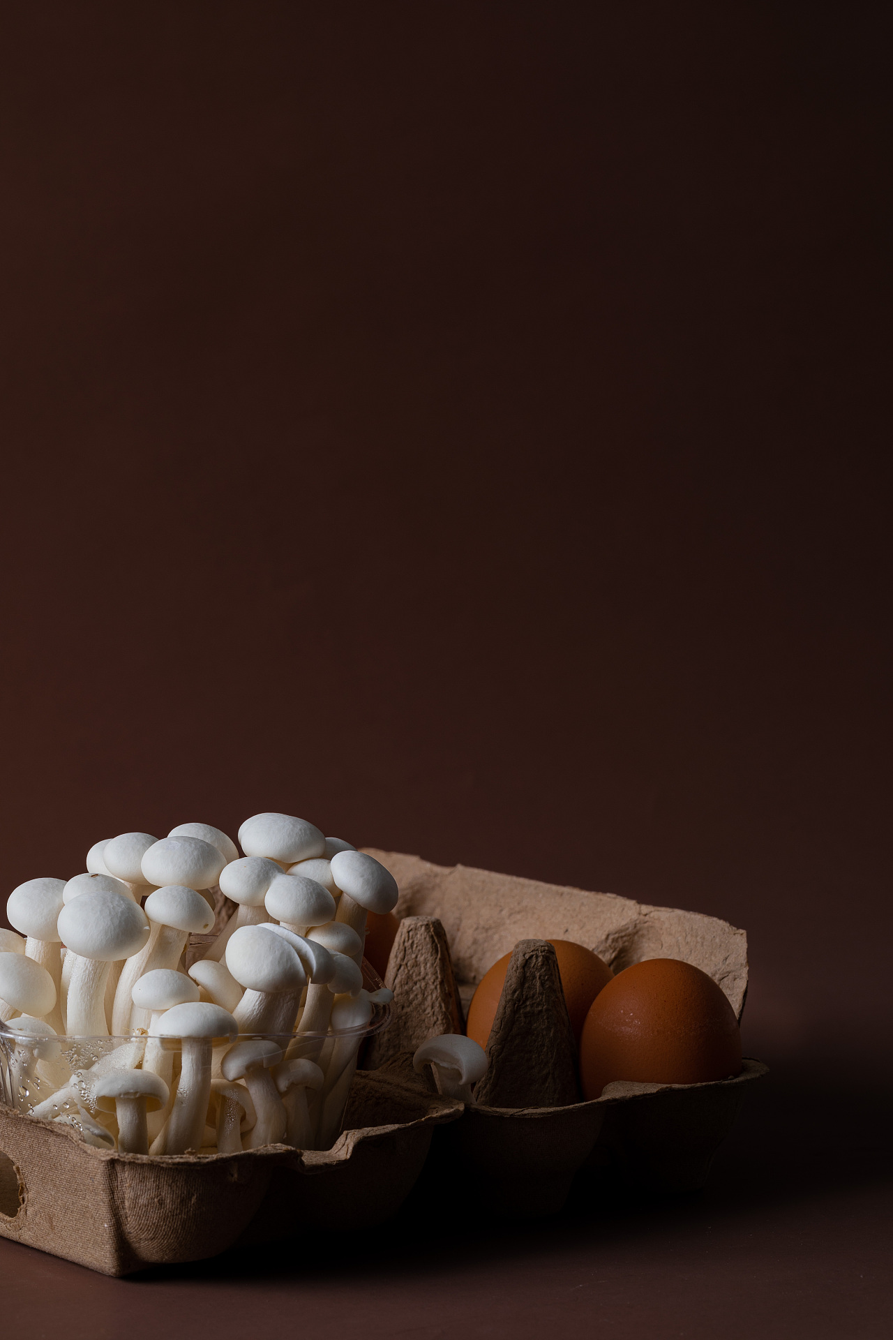 蘑菇创意拍摄|摄影|静物|子悉zixipics - 原创作品 - 站酷 (zcool)