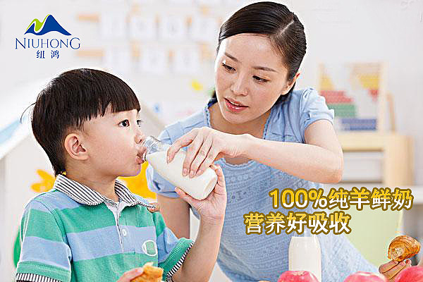 纽鸿羊奶产品（图ZODUxODI3NTI=） - 宣传物料 - 站酷设计师小天使1号原创素材 - 站酷ZCOOL