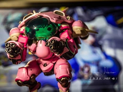 这段时间的摄影锦集