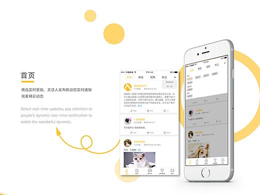宠物社交APP