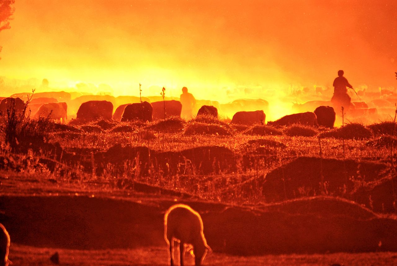 天山牧歌_鹰视界站酷ZCOOL