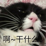 屁屁放光芒的头像