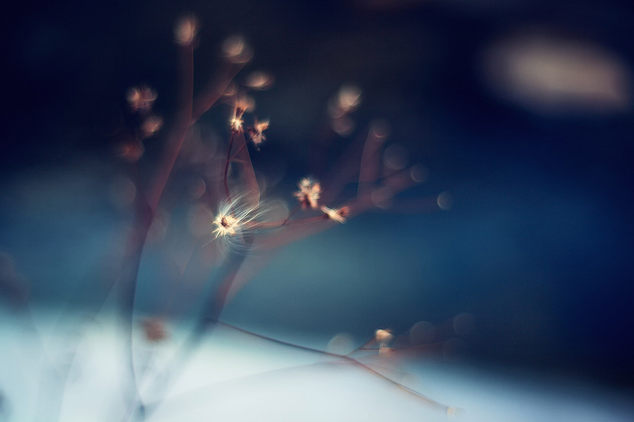 冬誌2020（图ZMjQ3Nzk5Nzky） - 风光摄影 - 站酷设计师amhx原创素材 - 站酷ZCOOL