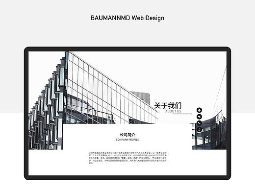 BAUMANNMD网页设计（个人主页-ZNTIzNjg1MjA=） - 企业官网 - 站酷设计师MrLi001原创素材 - 站酷ZCOOL