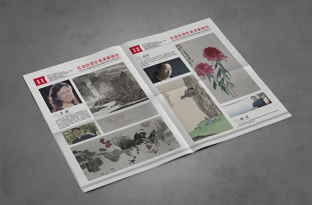 美术协会宣传册/刊物/画册/报纸