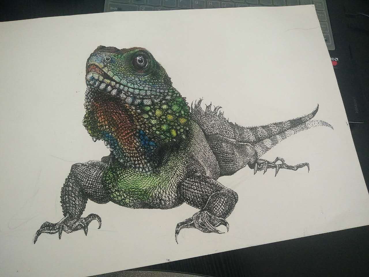 点绘蜥蜴|纯艺术|绘画|汤小菲_原创作品-站酷zcool