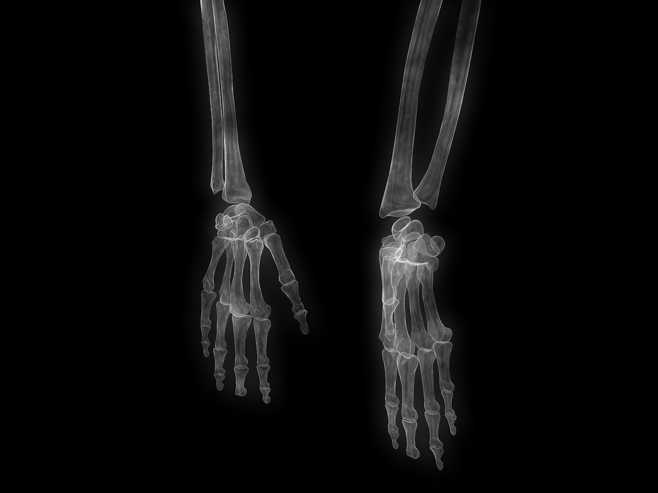 医学x光 xray 射线 ct扫描 影像 机场安检 3d三维全息