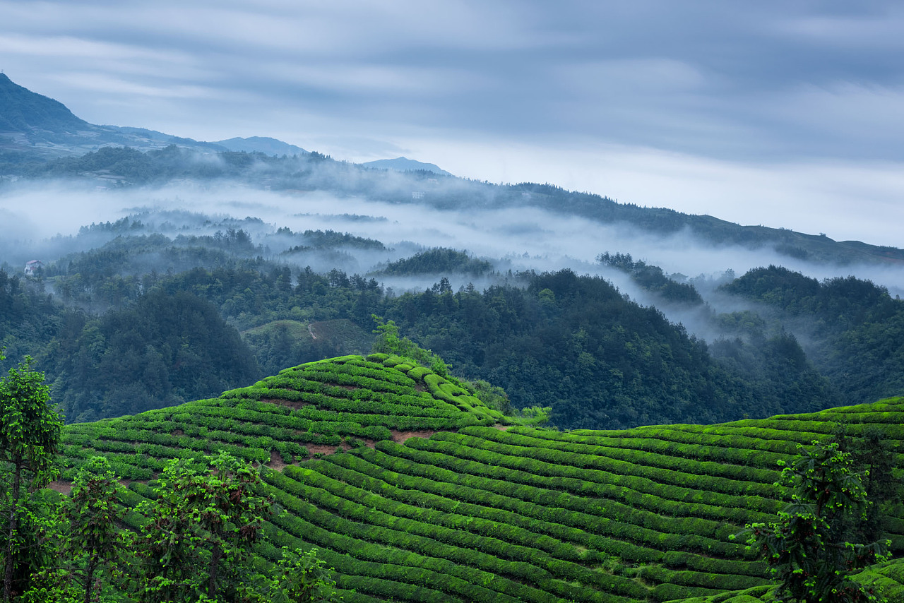 远山如黛绿翠含烟