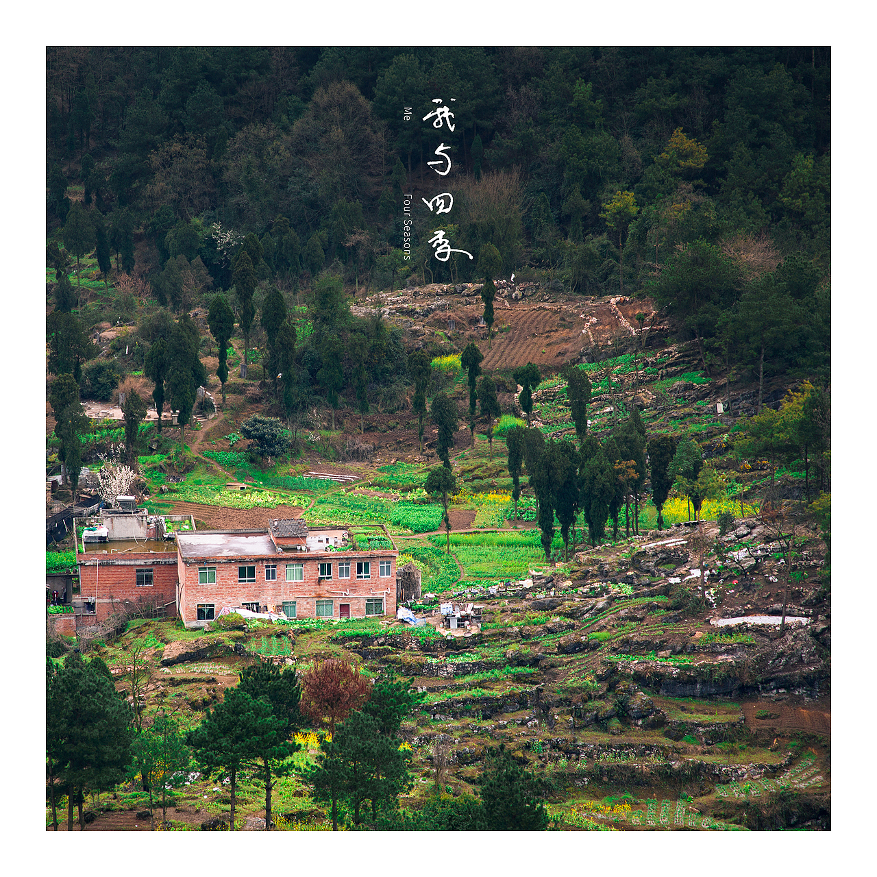 我与四季-ME-FOUR SEASONS