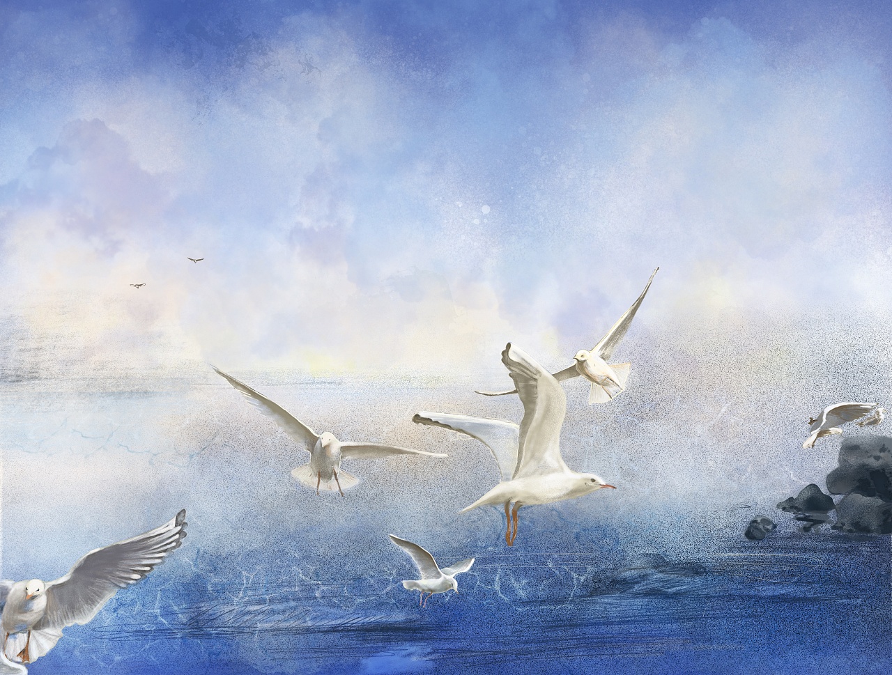 深圳红树林湿地公园—海鸥|插画|创作习作|did无绘 - 原创作品 - 站酷