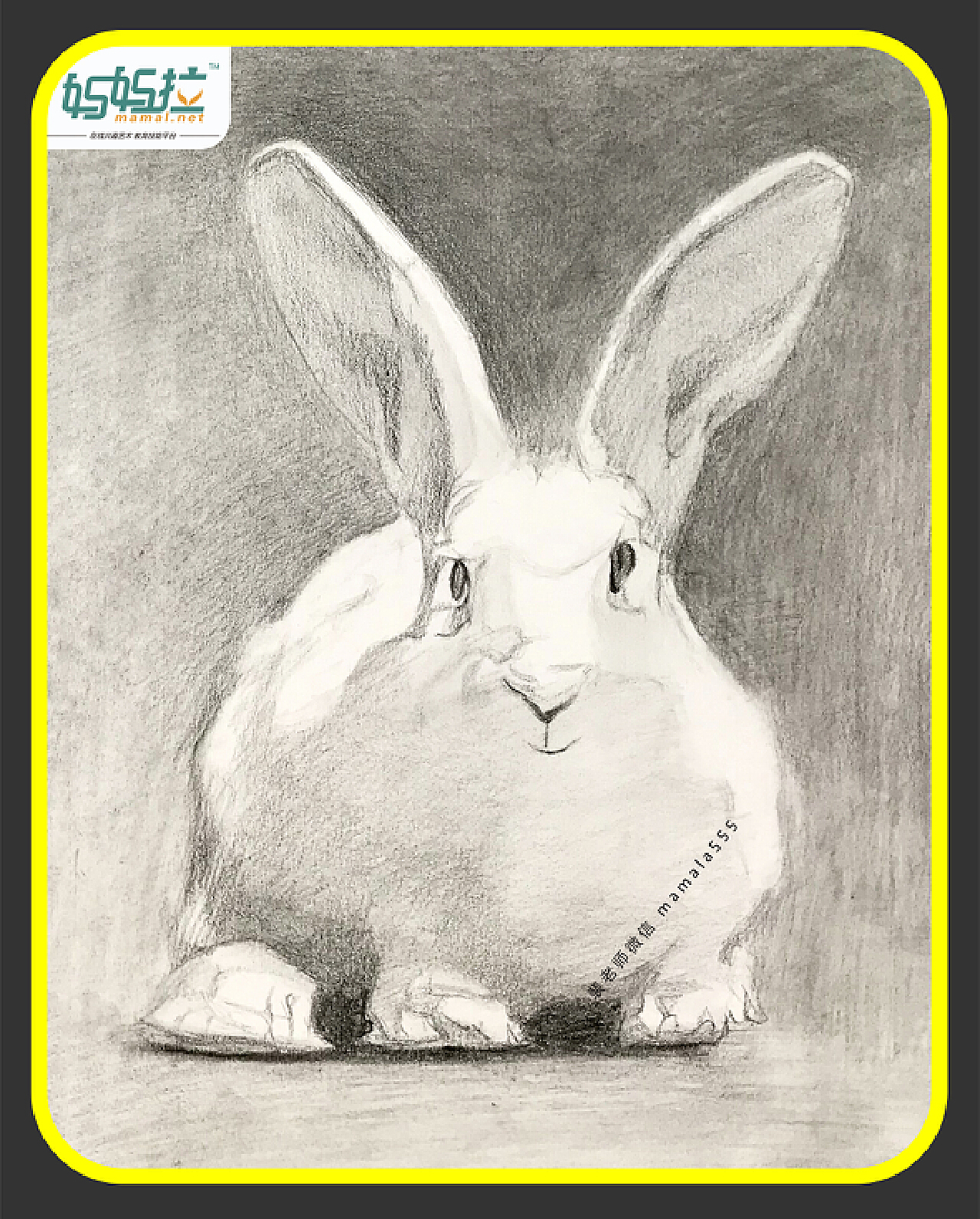 5岁儿童画启蒙教程 有颜色小小白兔怎么画简单又好看💛巧艺网