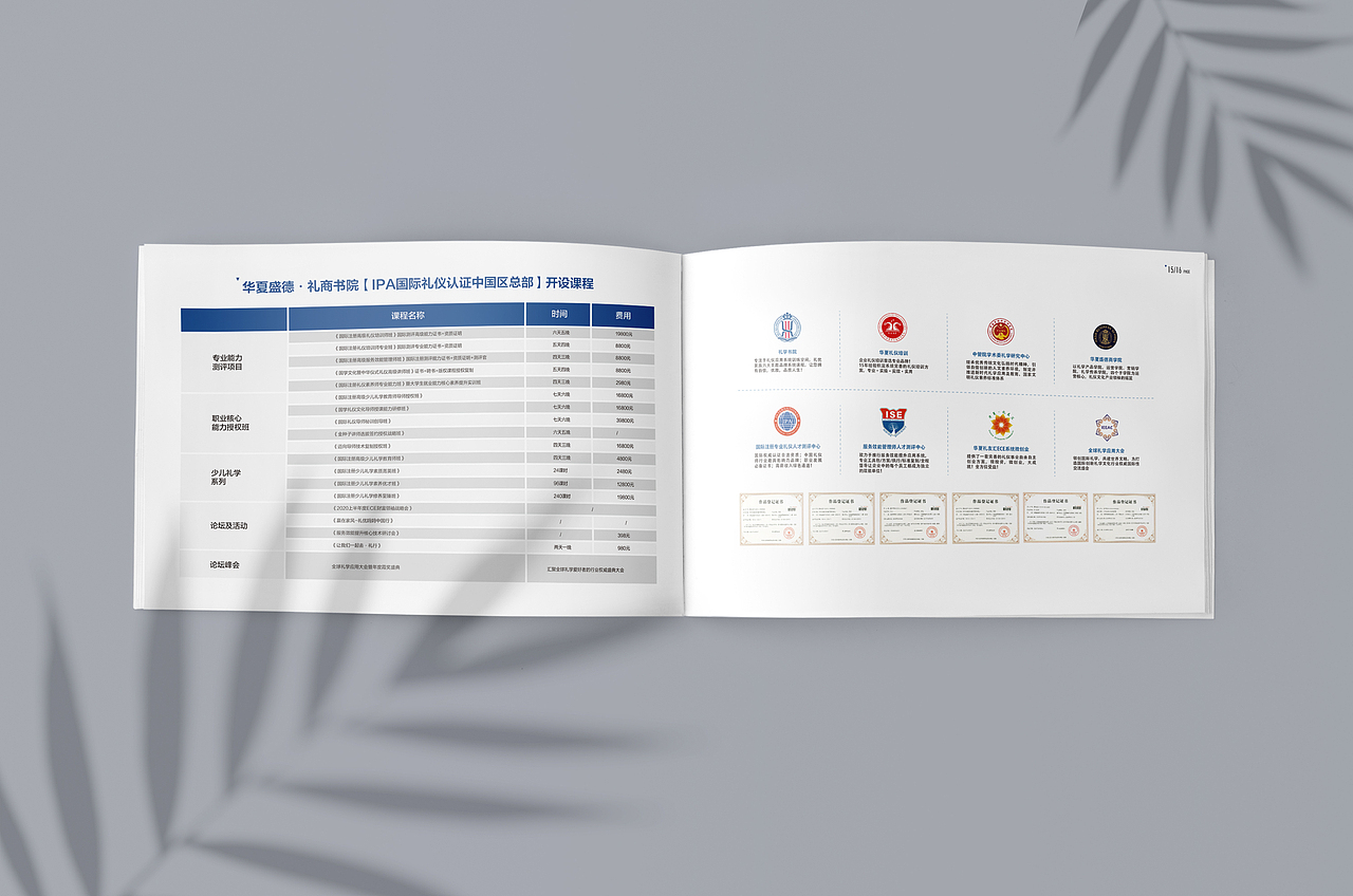 產(chǎn)品畫冊(cè)（圖ZMjI2MDQyNzQ0） - 書籍/畫冊(cè) - 站酷設(shè)計(jì)師大喜1995原創(chuàng)素材 - 站酷ZCOOL