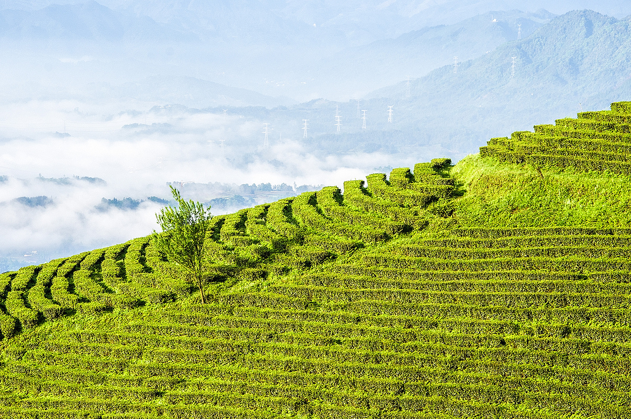 瑞福生视觉设计