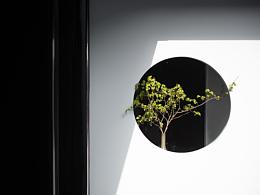 空间/建筑