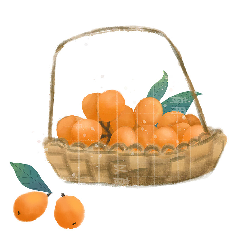 枇杷|插画|商业插画|娜么自然 - 原创作品 - 站酷 (zcool)