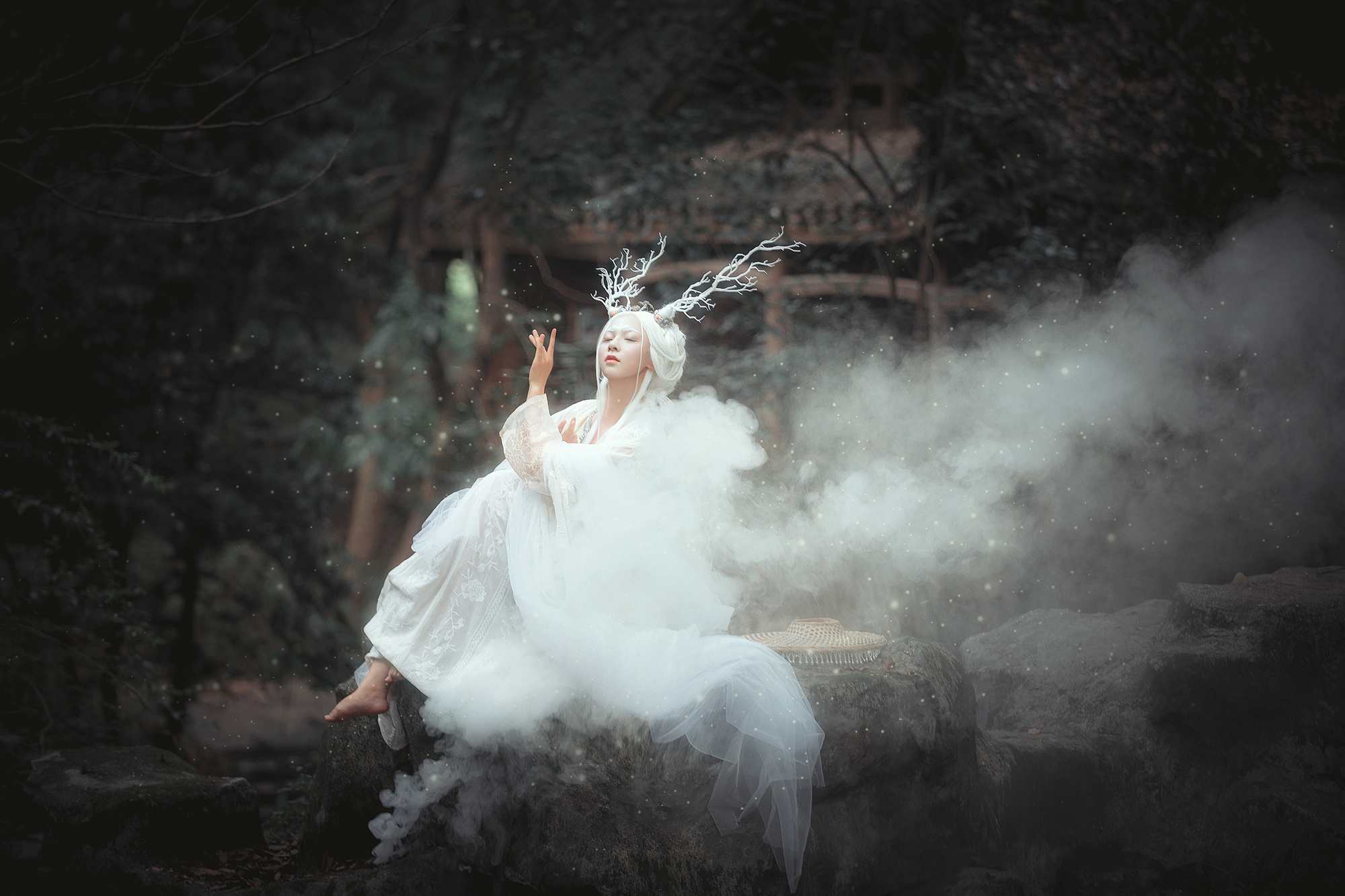 《灵仙图志·白鹿》