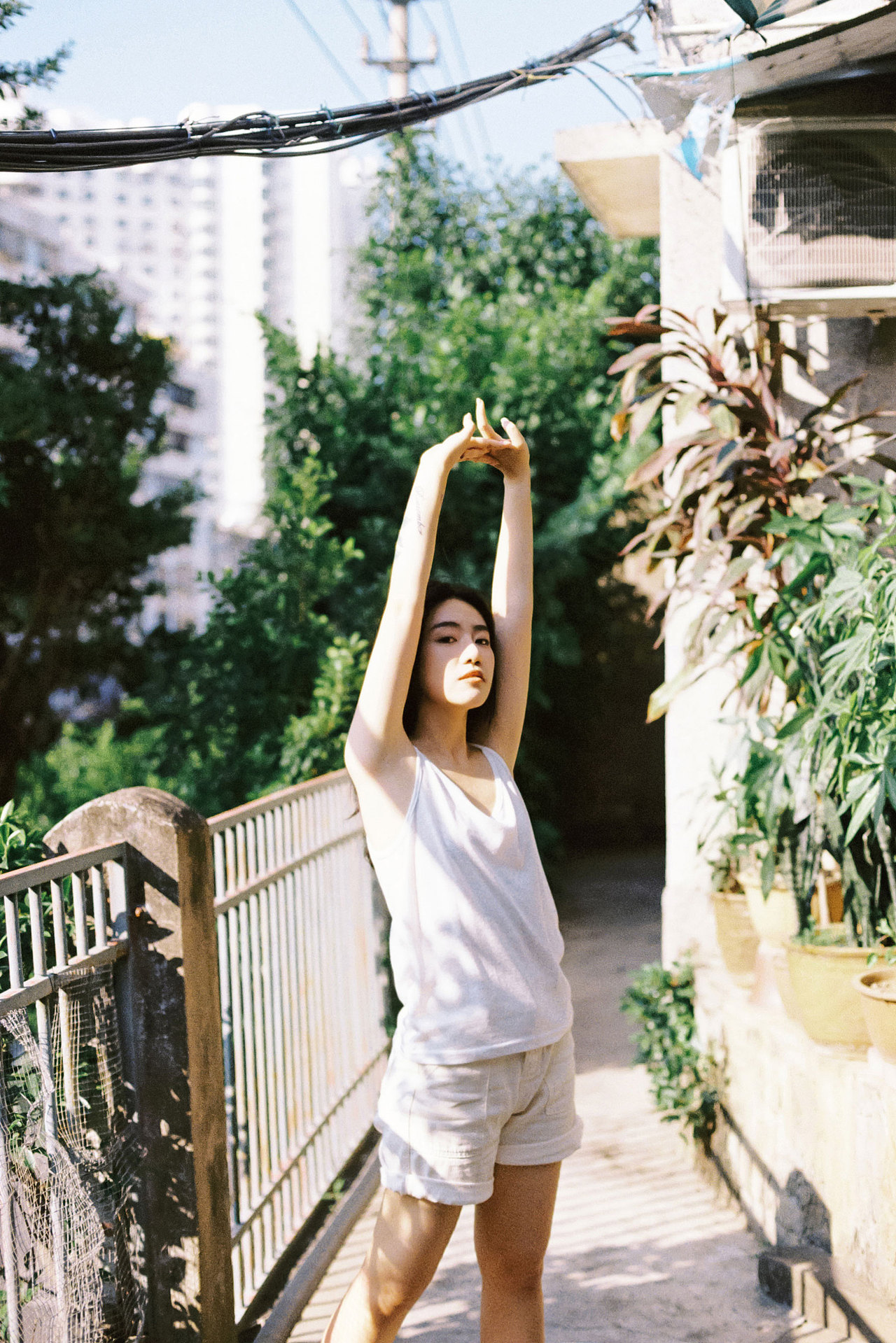 风是甜的 阳光是暖的