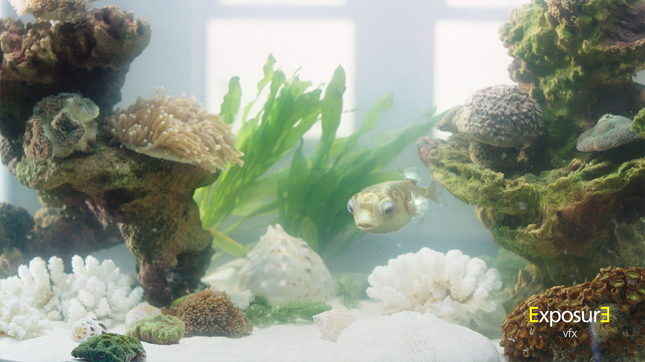 萌翻你的小河豚-ThinkPad S1 Yoga TVC《启蒙&较劲篇》