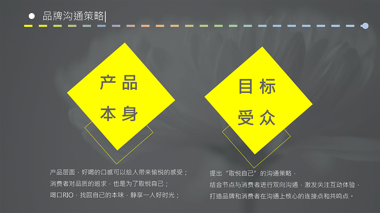 RIO创意营销策划案