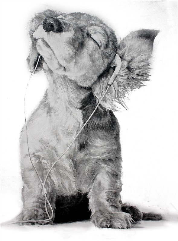 素描 小狗（圖ZMjc4NTkyMDQ=） - 繪畫 - 站酷設(shè)計師黃昏中低語原創(chuàng)素材 - 站酷ZCOOL