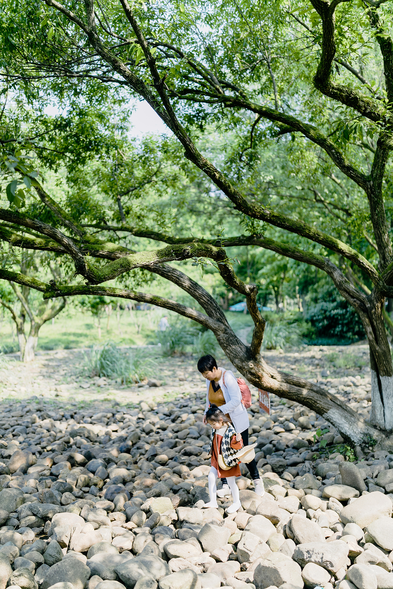 我的五一如此开篇