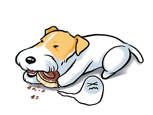 【乔治日记-32】真香定律