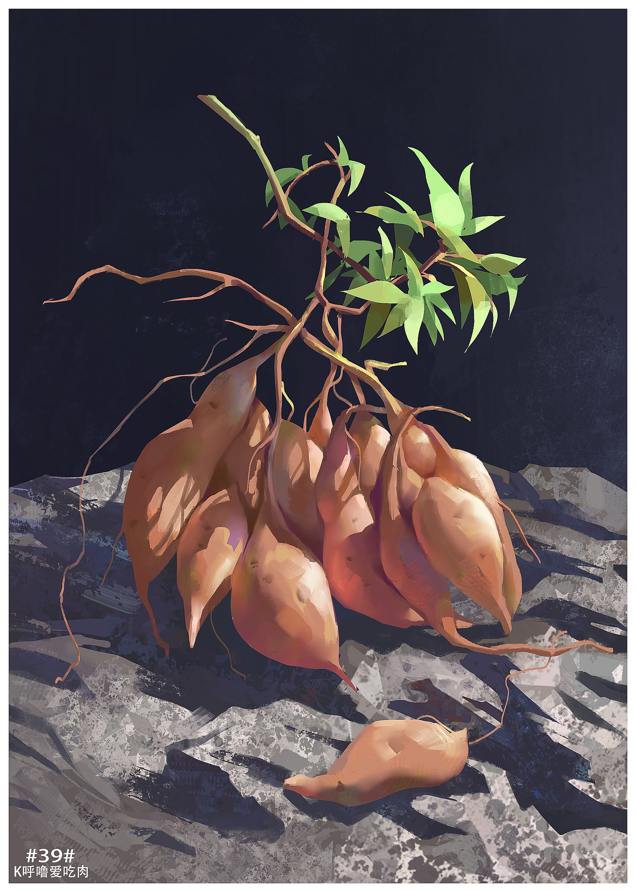 每日速涂小练习