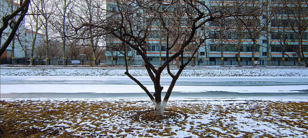 冰雪 树枝（图ZMjg2MzYwNjg4） - 风光摄影 - 站酷设计师设计师一大秦原创素材 - 站酷ZCOOL