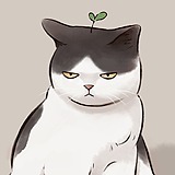 墨洇MOYIN的头像