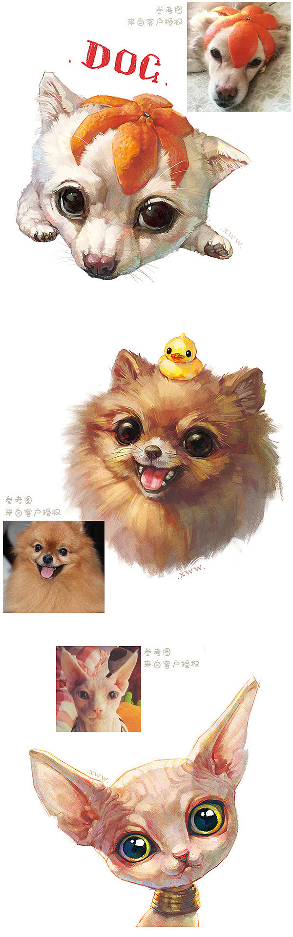 【萌宠定制版】合集(二)