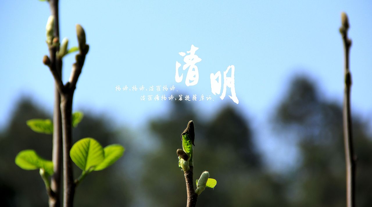 大桥下的石头（图ZODkzMzk1Mg==） - 风光摄影 - 站酷设计师半道子原创素材 - 站酷ZCOOL