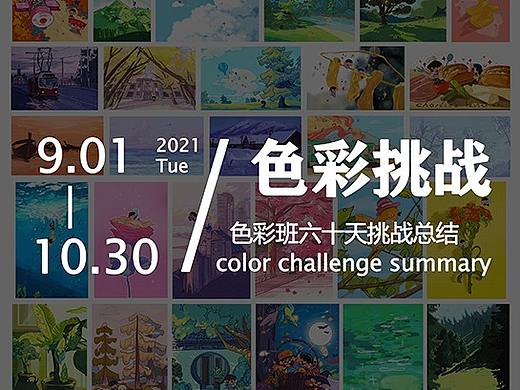 色彩挑战总结