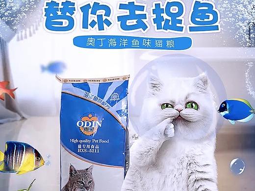 宠物详情页