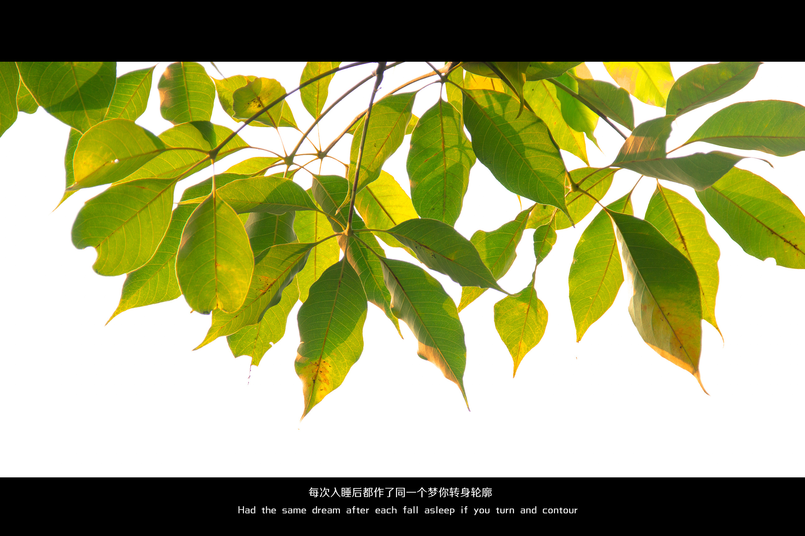 原来我爱你那么多