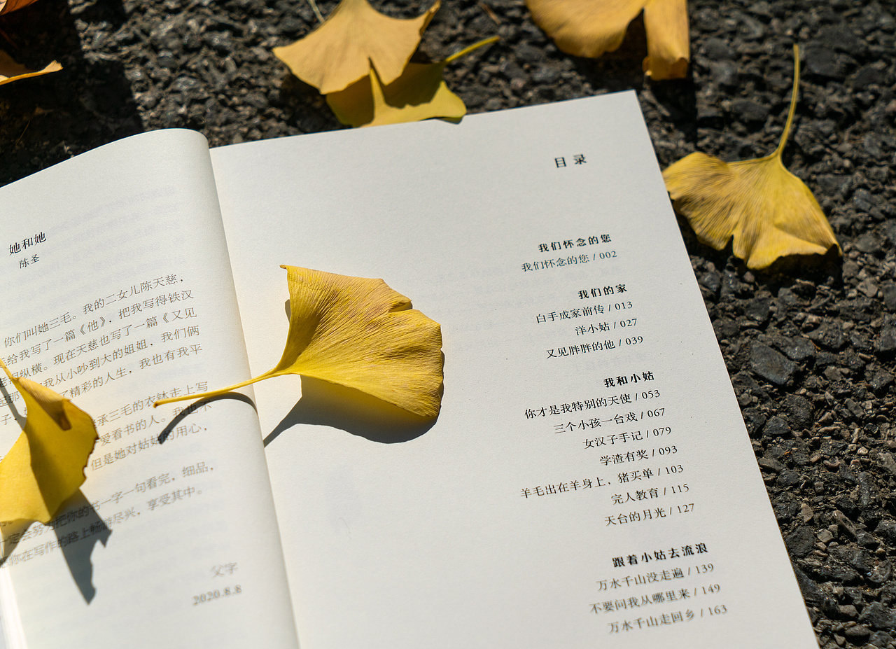 《我的姑姑三毛》