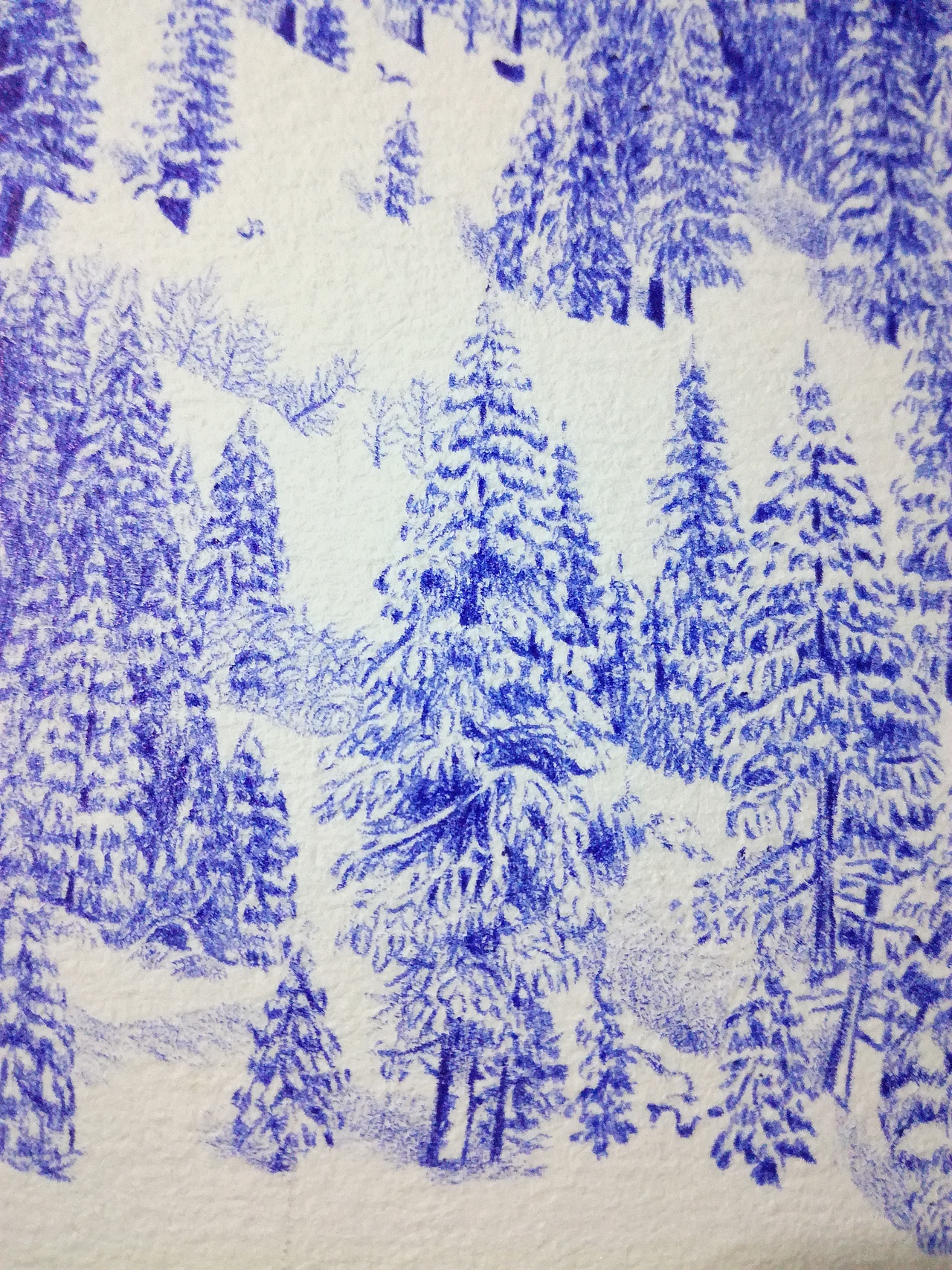 圆珠笔画 森林雪景