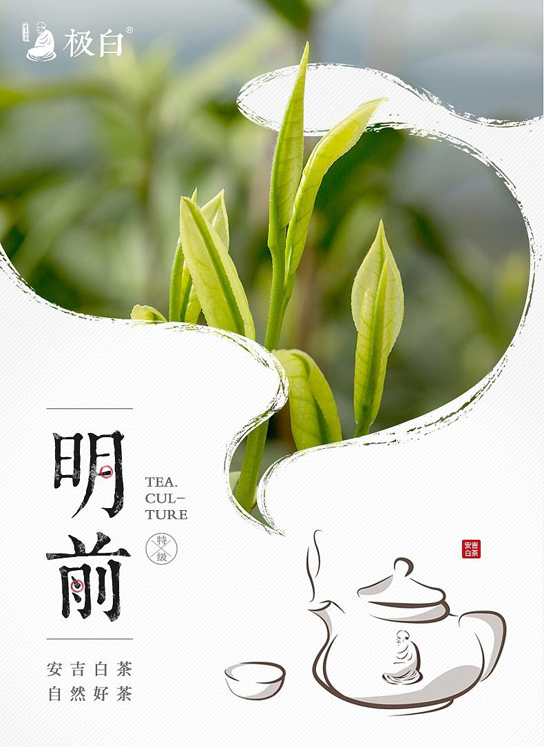 极白安吉白茶7款海报设计