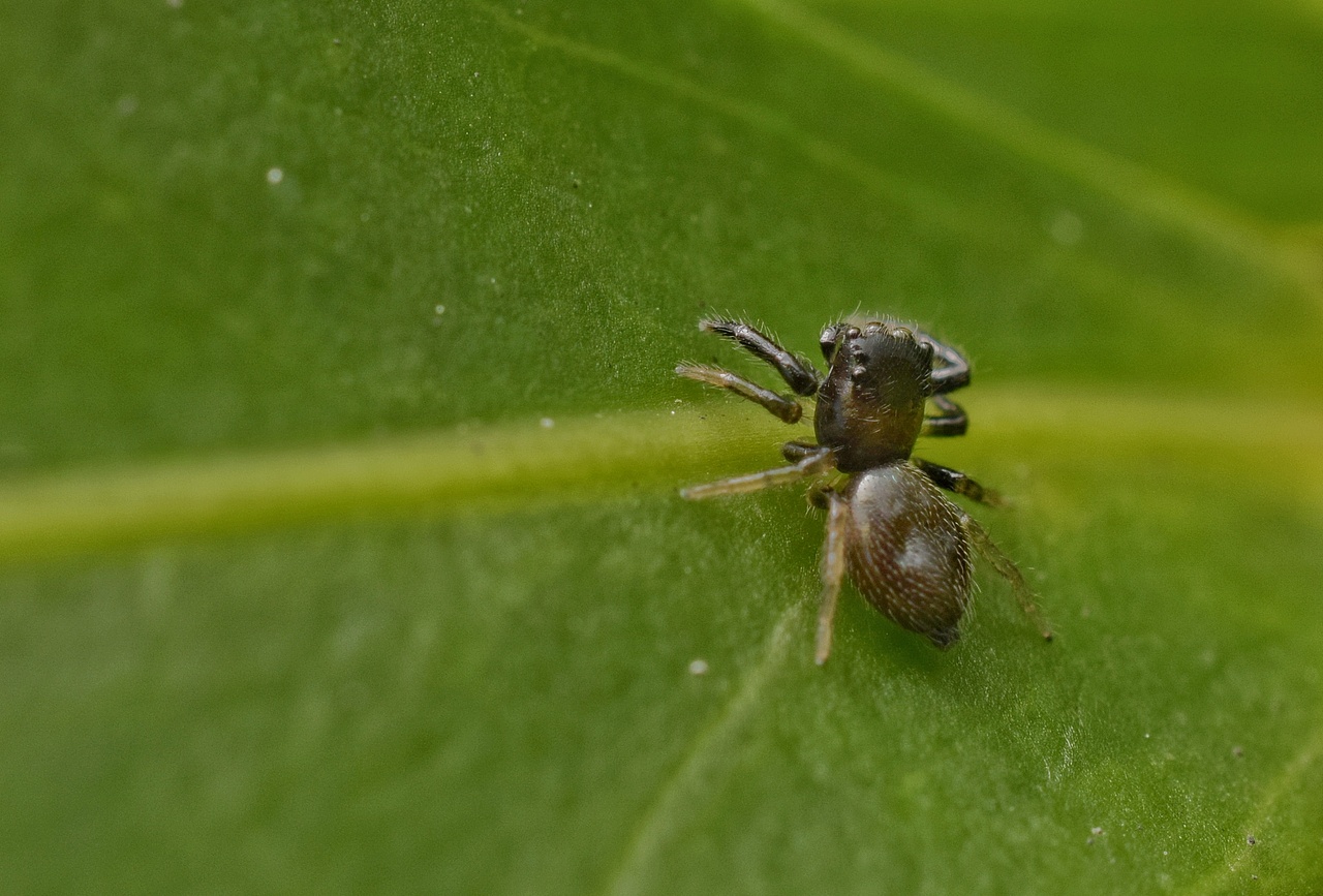 暴雨过后的绿化带