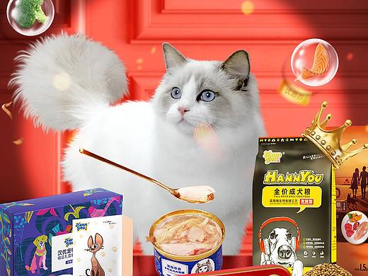 宠物零食